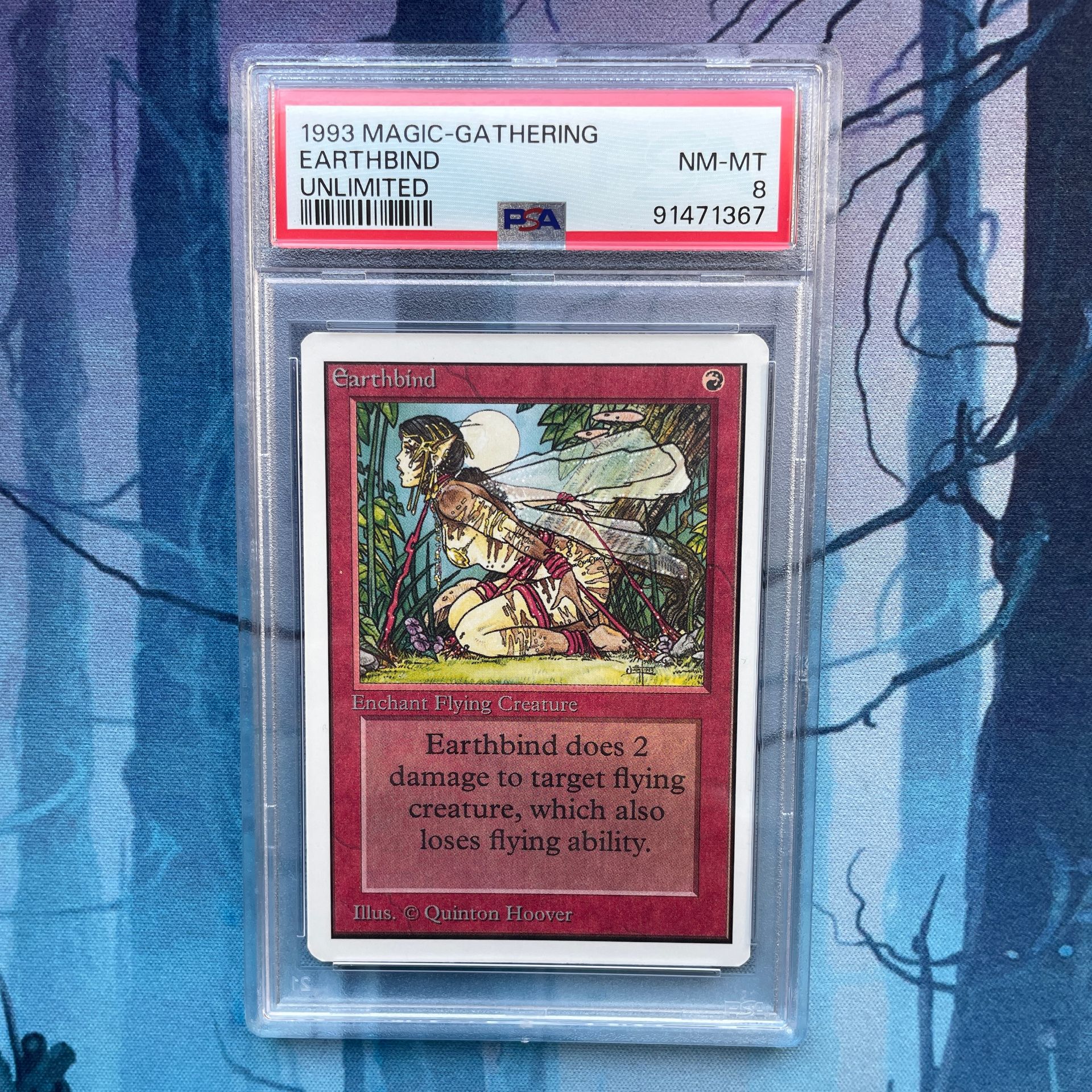 MTG Unlimited Earthbind PSA8
